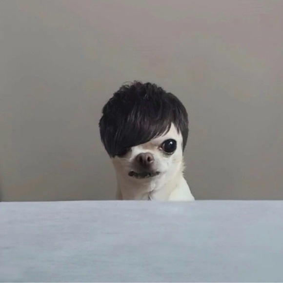 yarifin